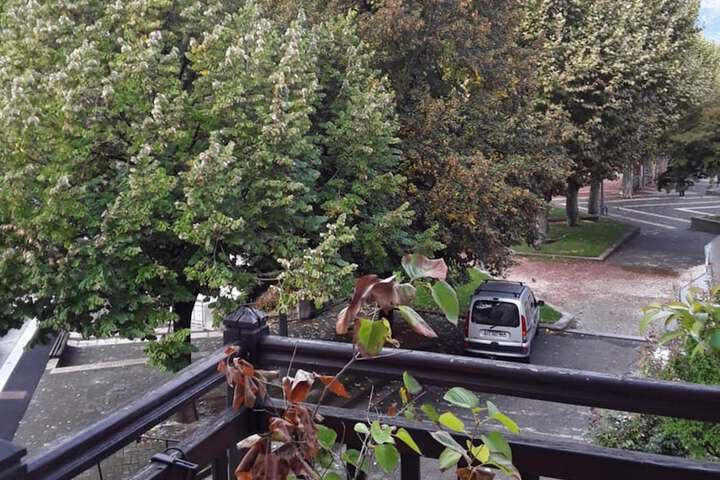 Terrace/Patio 38 of 62