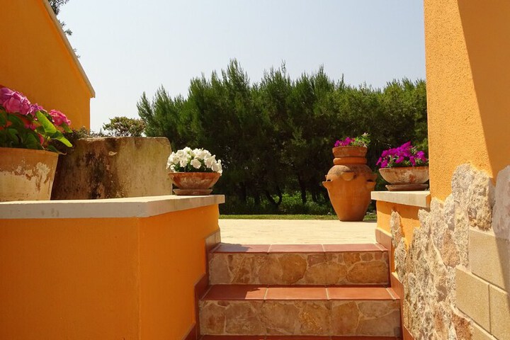 Terrace/Patio 50 of 88