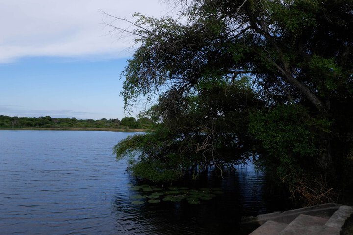 Property Grounds 22 of 26