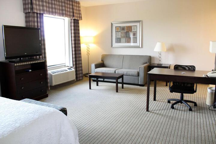 1 King Hearing Accessible Studio with Sofa Bed (11 of 13)