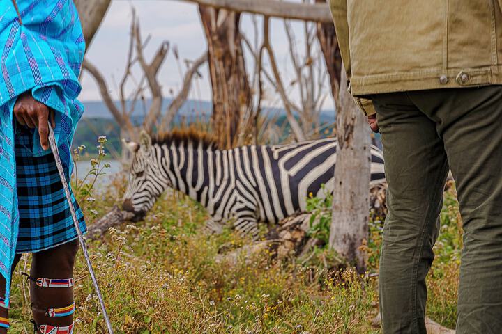 Safari