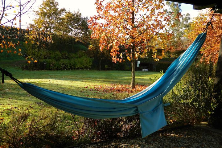 Property Grounds 19 of 23