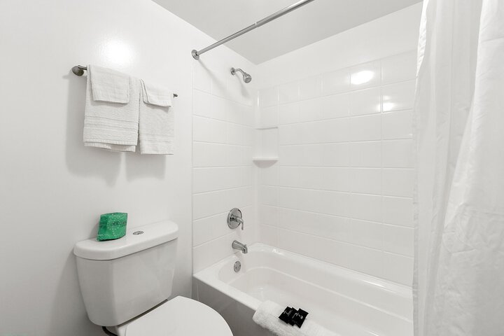 Premium Studio 1 King Bed Kitchenette (8 of 16)