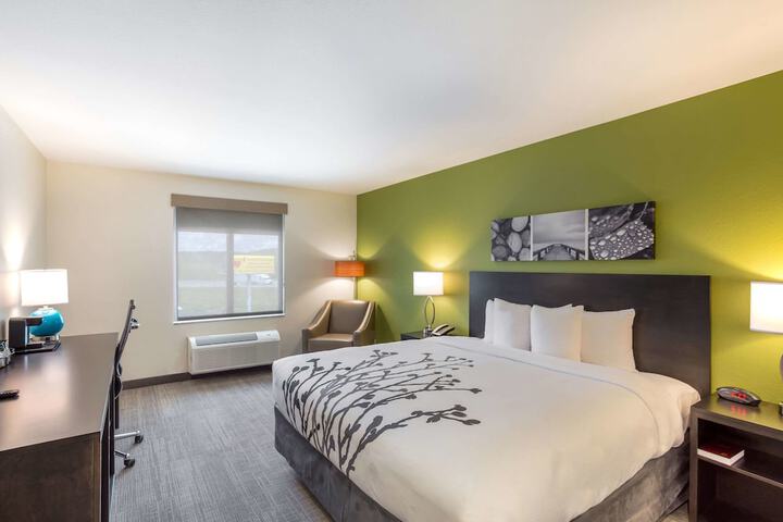 1 King Bed (12 of 13)