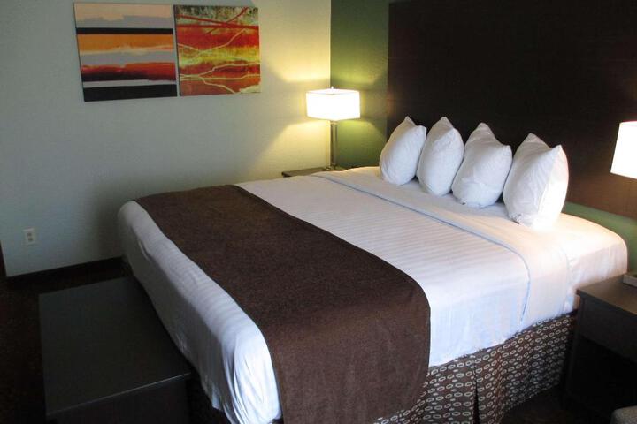 1 King Bed (11 of 15)