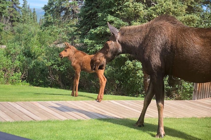 Terrace/Patio 32 of 34