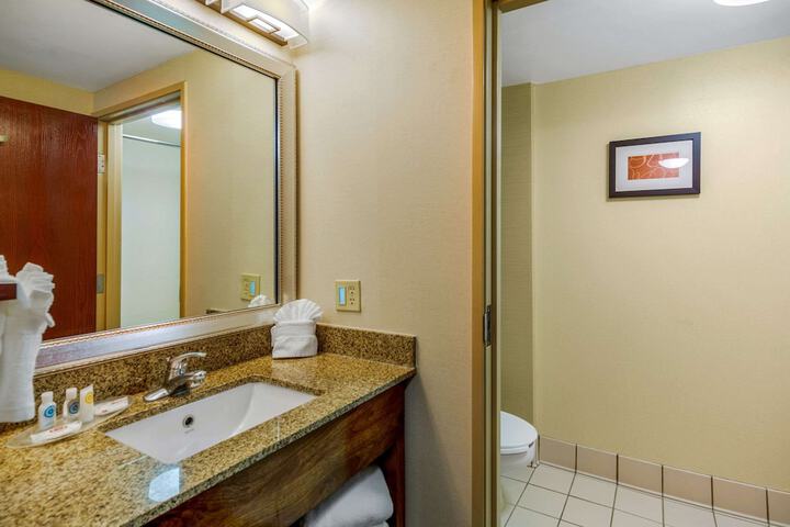1 King Bed Suite (21 of 29)