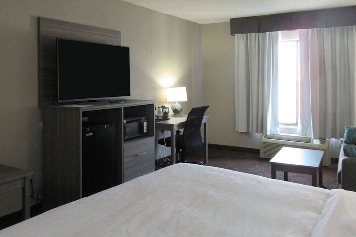 1 King Bed Accessible (15 of 20)