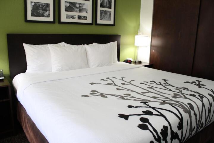 1 King Bed Accessible (7 of 14)
