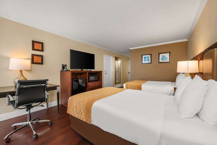 2 Double Beds City View (5 of 11)