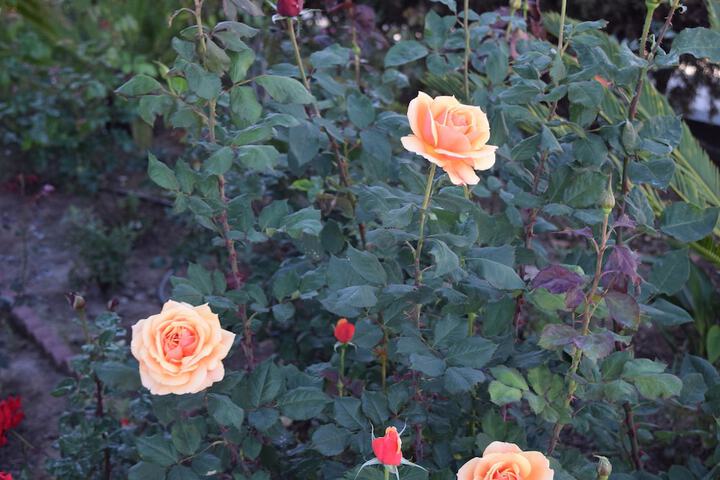 Hotel Exterior 25 of 32