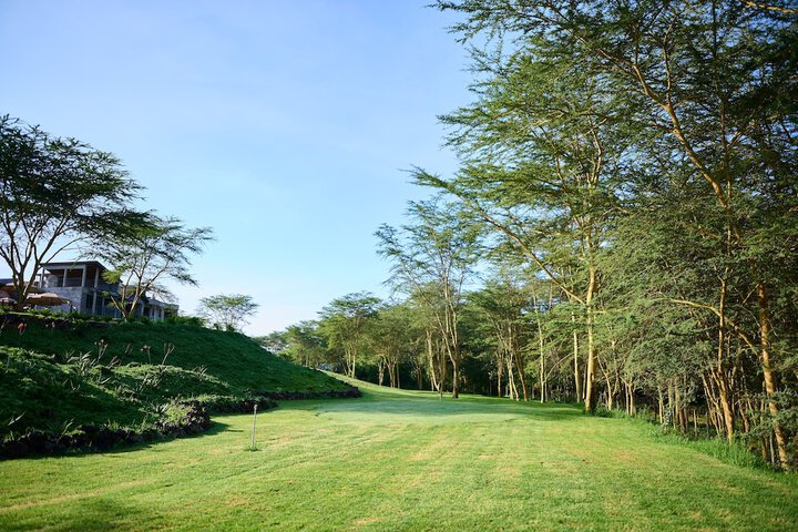 Golf 19 of 36
