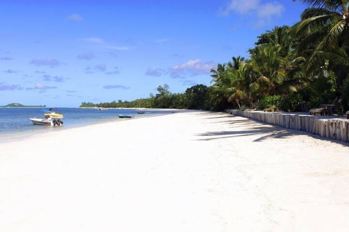 Beach 49 of 66