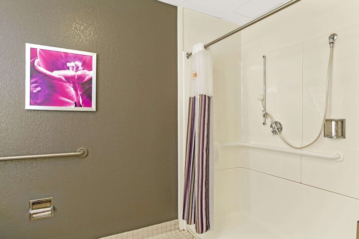1 Queen Bed Mobility Accessible (6 of 9)