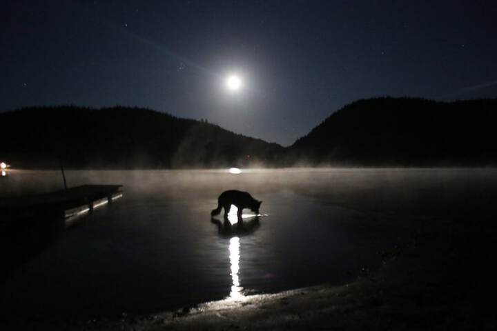 Property Grounds 50 of 67