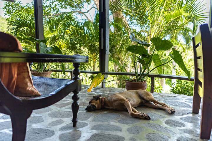 Lounge 116 of 157