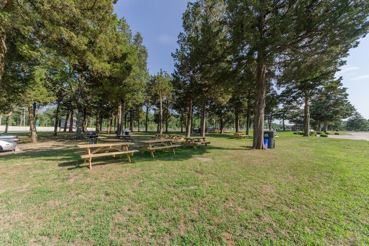 BBQ/picnic area