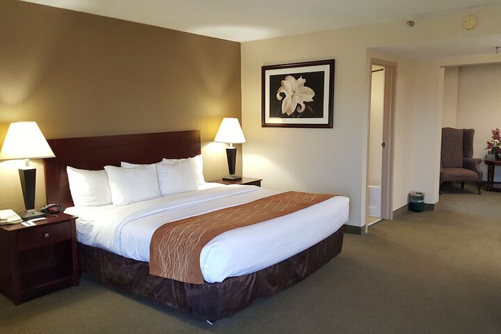 1 King Bed (15 of 16)