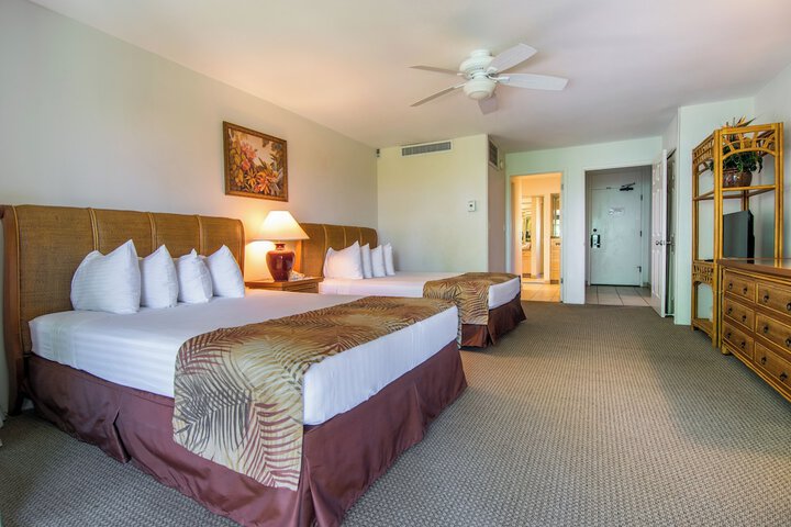Room 3 of 235