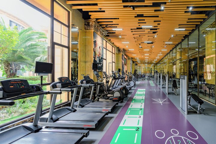 Gym & Fitness