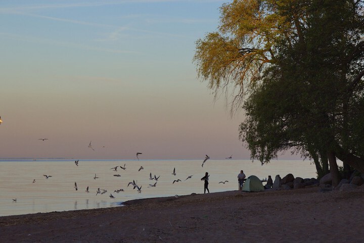 Beach 62 of 71
