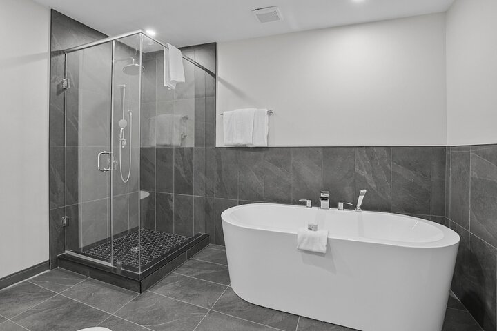 Lake View 1 King Bed Pet Friendly (10 of 14)
