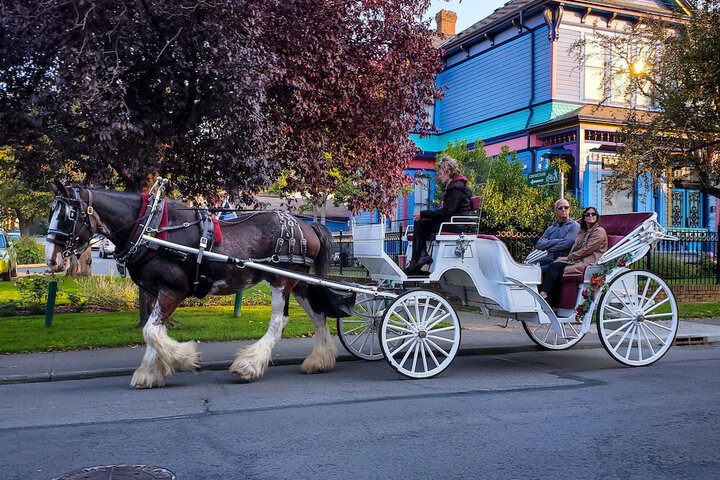 Hotel View 118 of 141