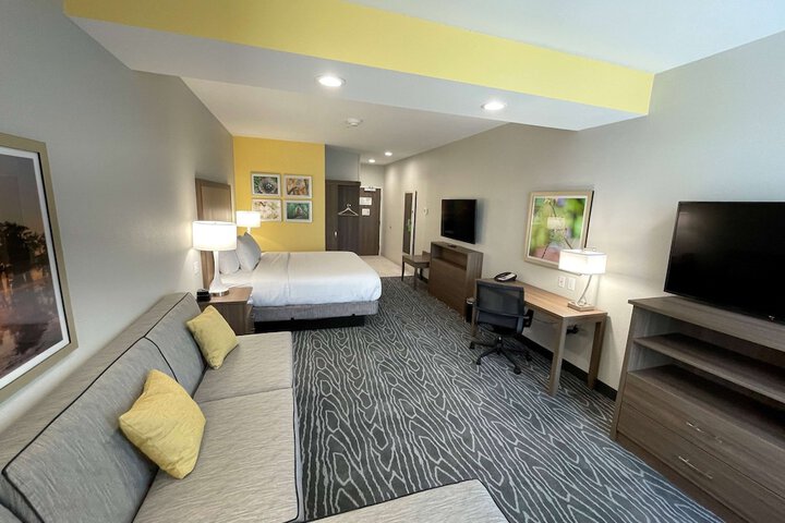 1 King Bed Mobility Hearing Accessible Room Roll in Shower (15 of 26)