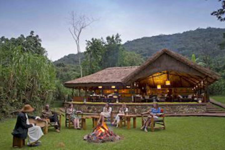 Gorilla Forest Camp