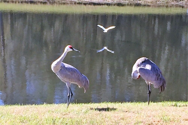 Property Grounds 39 of 41