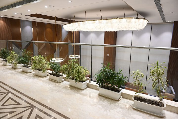 Hotel 37 of 37