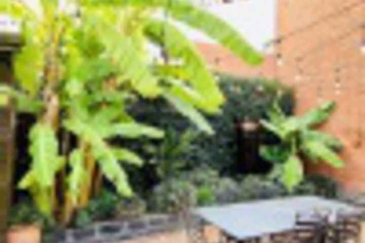 Hotel Exterior 4 of 240