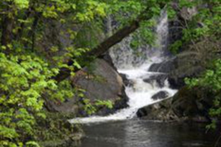 Property Grounds 74 of 77