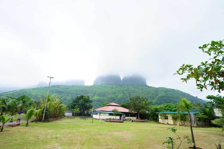 General 33 of 41