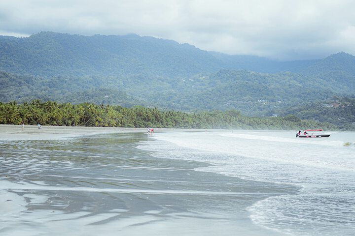 Beach 65 of 66