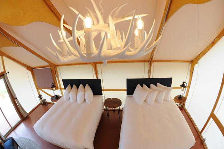 Room 4 of 110