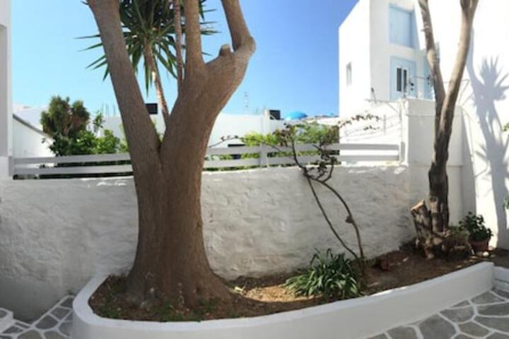 Terrace/Patio 12 of 36