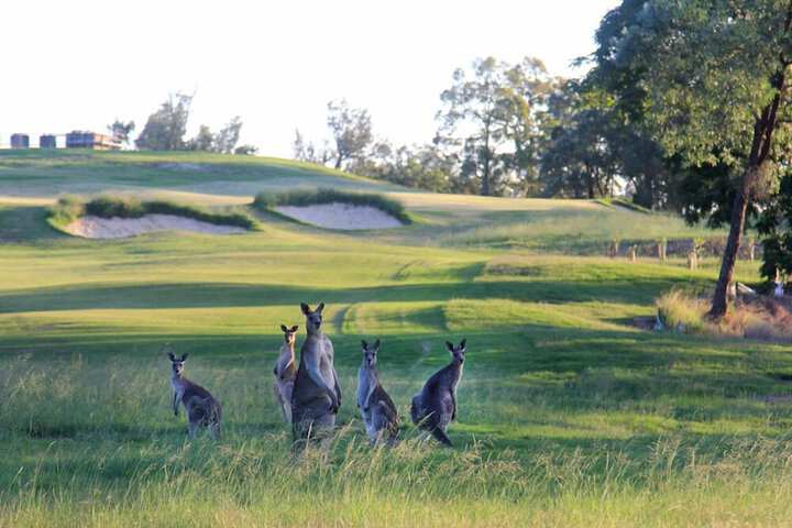Golf 20 of 27