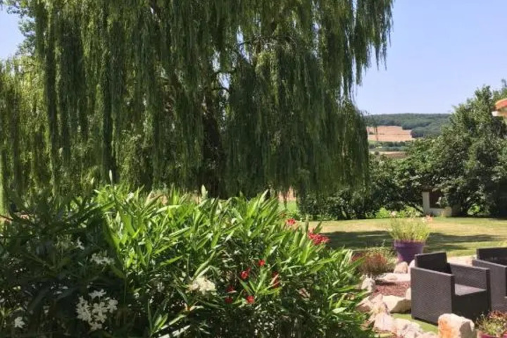 DOMAINE DE LA VIGNE