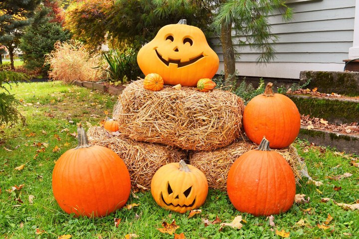 Hotel Exterior 103 of 125