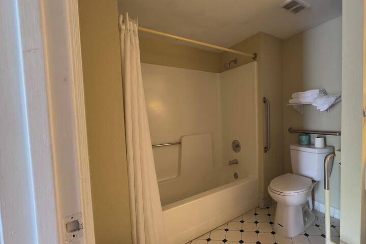1 King Bed Mobility Accessible Bathtub with Grab Bars (4 of 9)