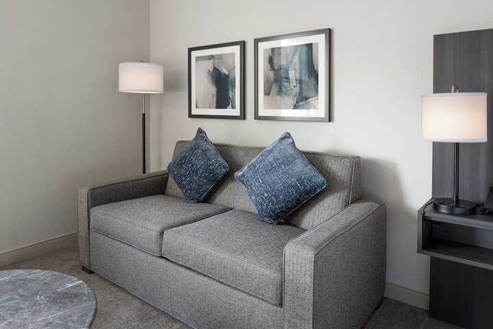 Standard King Bed Sofa (7 of 25)