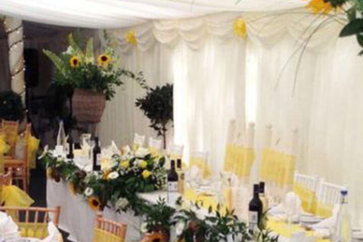 Spa and Wellness Pictures