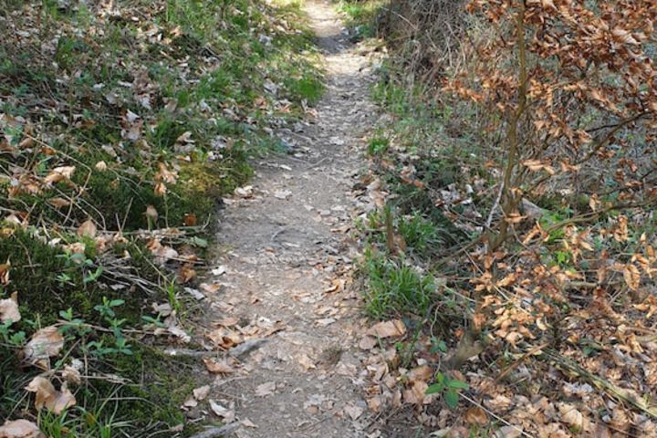 Outdoor Activities 20 of 56