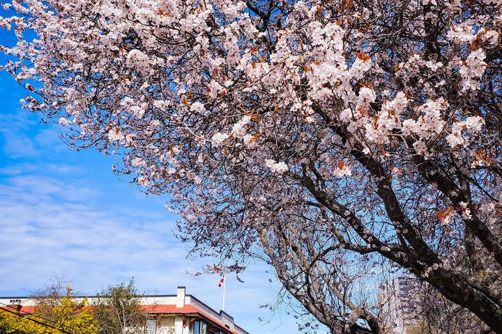 Hotel View 119 of 141