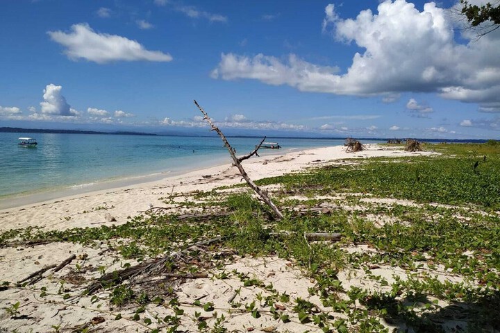 Beach 77 of 108