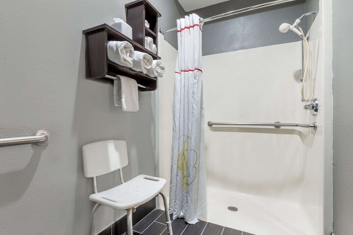 1 King Bed 1 Bedroom Accessible Studio Suite with Roll in Shower (1 of 8)