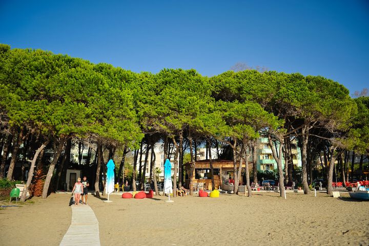Beach 73 of 86