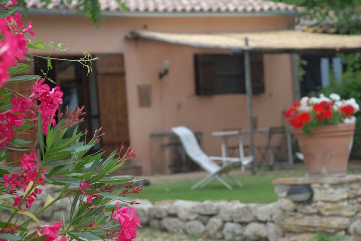 Terrace/Patio 22 of 42