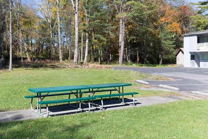 BBQ/picnic area